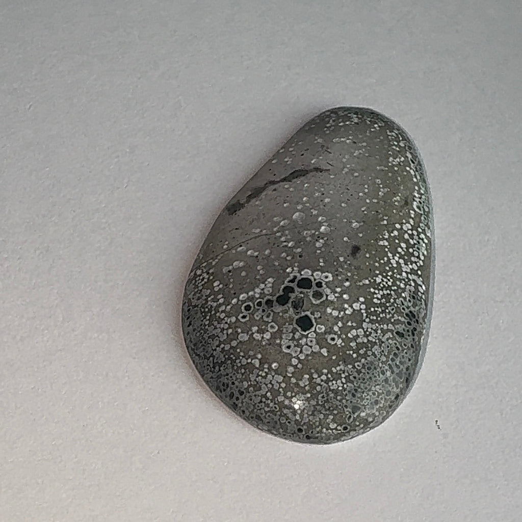 20ct Variscite bi valve pseudomorph