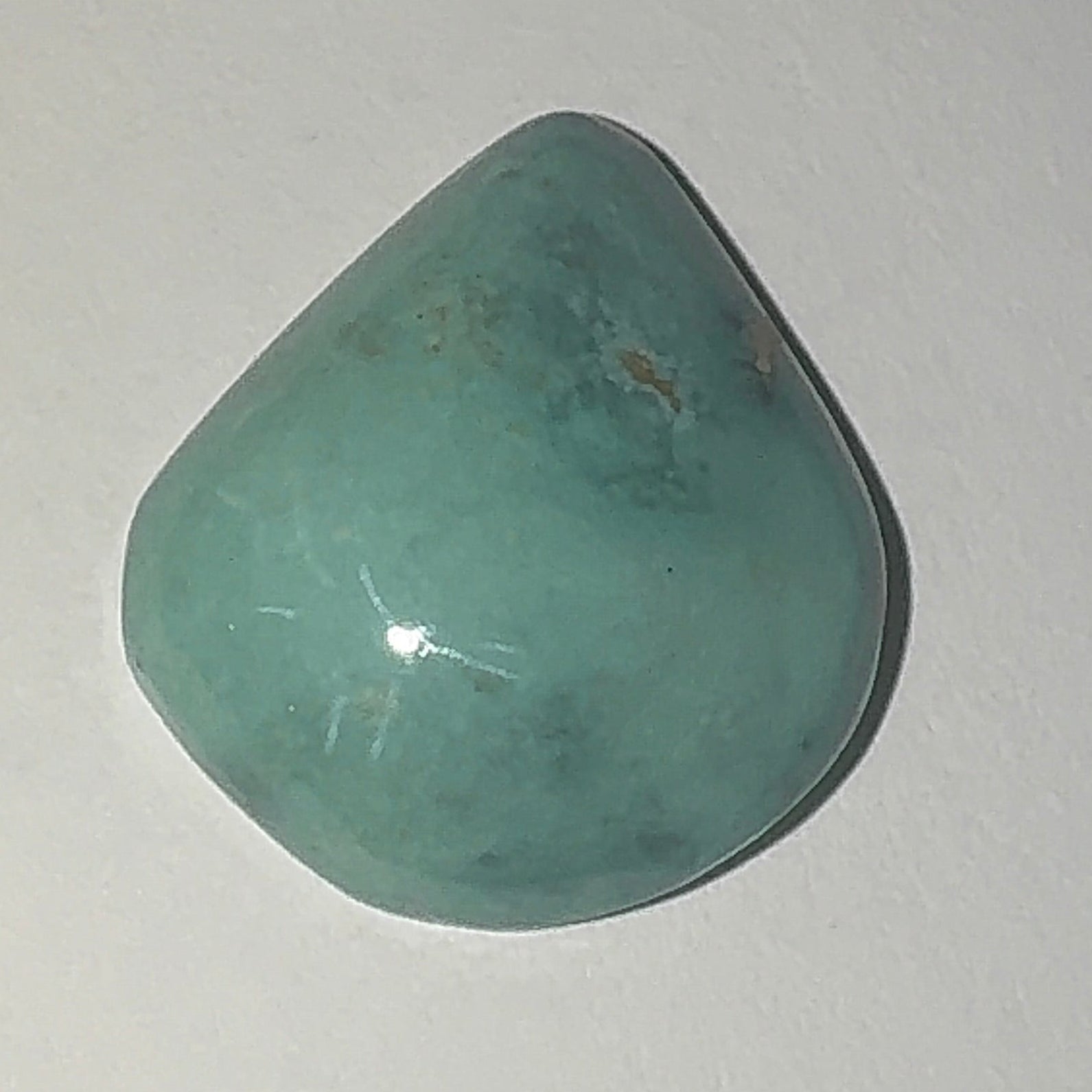 13ct Variscite bi valve pseudomorph