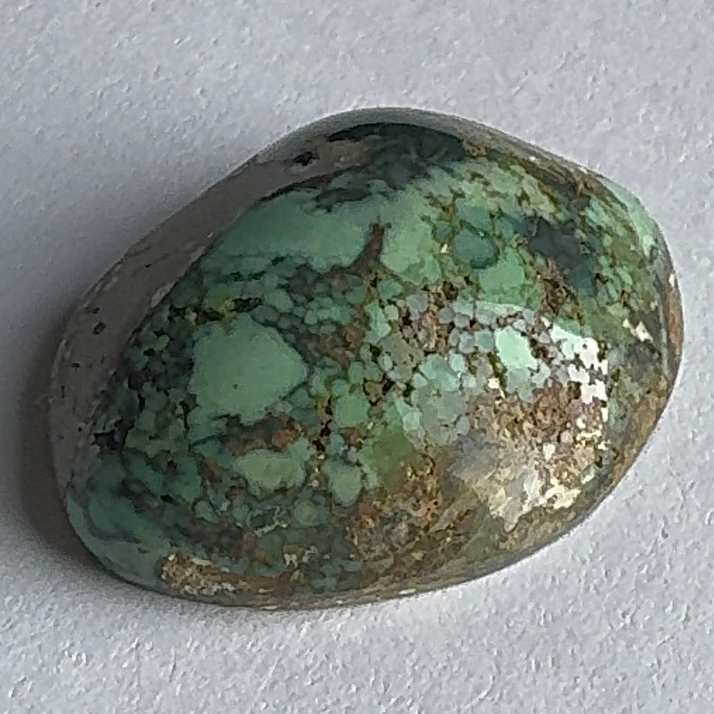 40ct Variscite bi valve pseudomorph