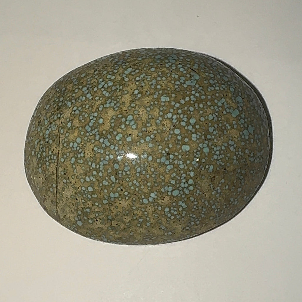 24ct Variscite bi valve pseudomorph