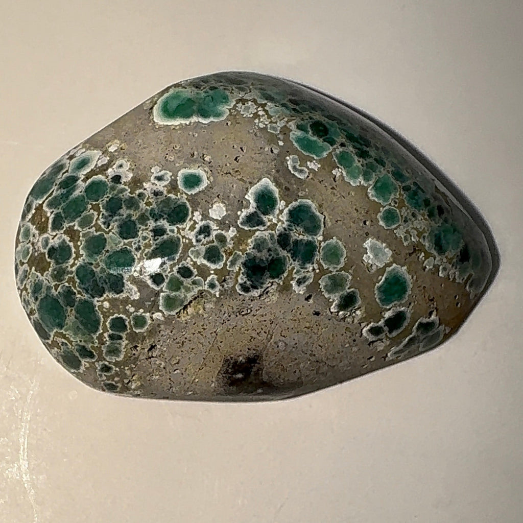 8ct Variscite bi valve pseudomorph