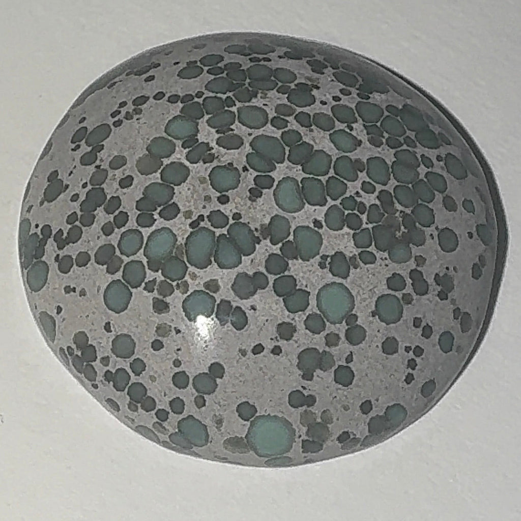 22ct Variscite bi valve pseudomorph