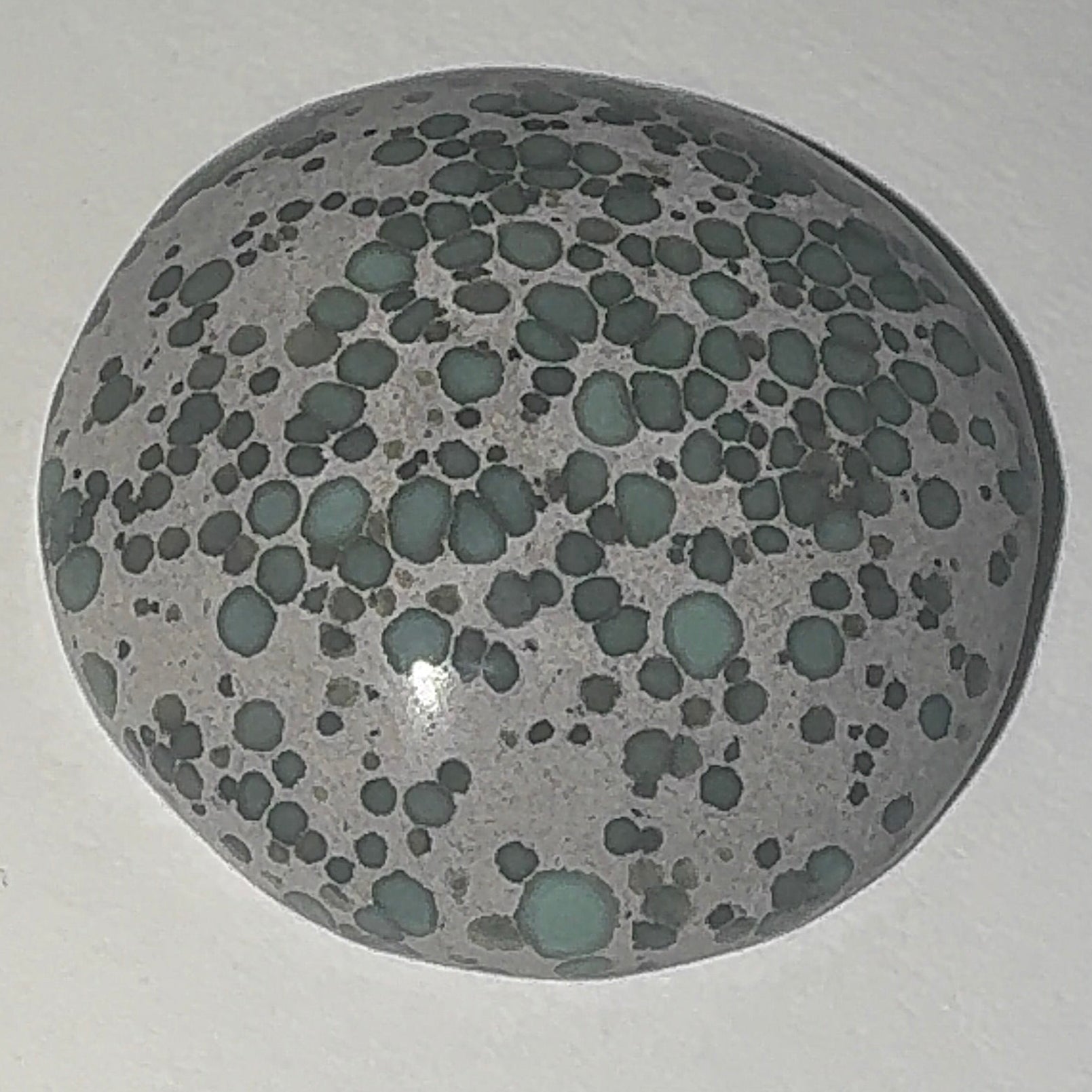 22ct Variscite bi valve pseudomorph