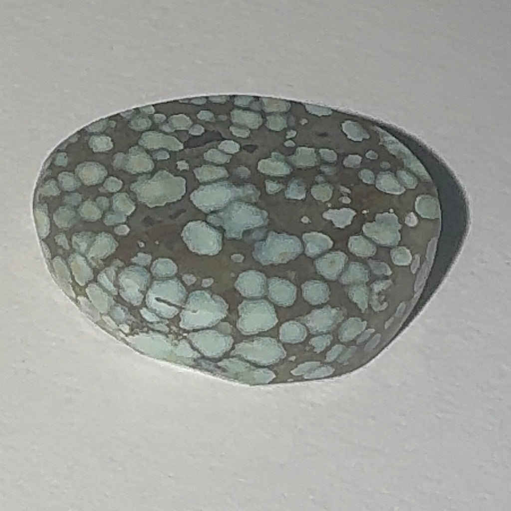 9ct Variscite bi valve pseudomorph