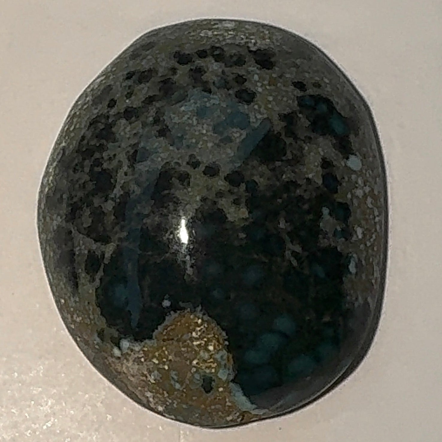 12ct Variscite bi valve pseudomorph