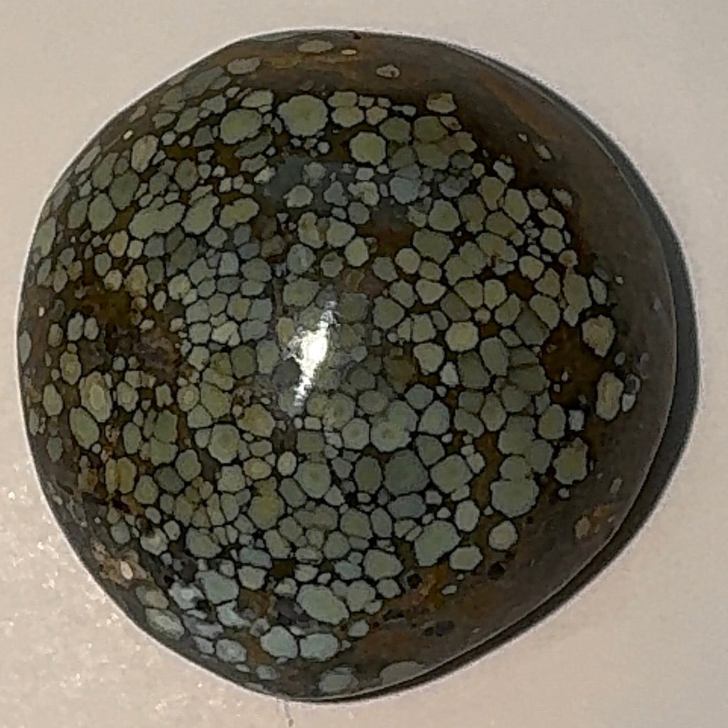 13ct Variscite bi valve pseudomorph