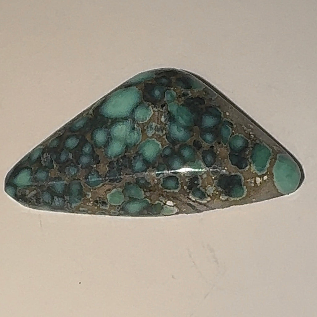 6ct Variscite bi valve pseudomorph