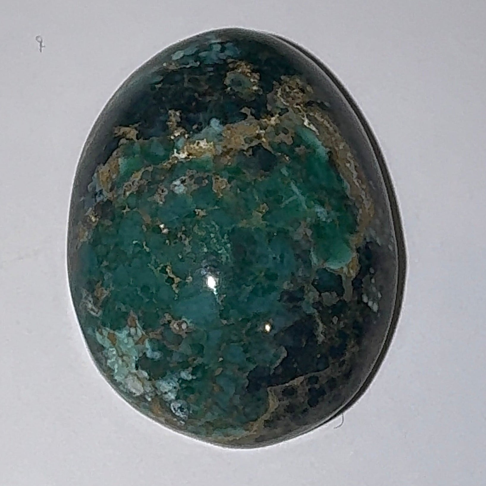 18ct Variscite bi valve pseudomorph
