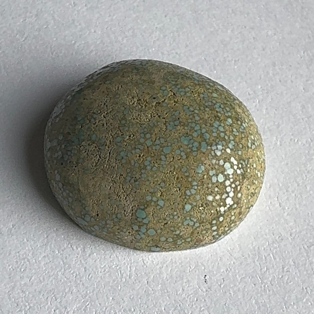 28ct Variscite bi valve pseudomorph