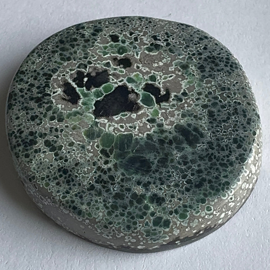 74ct Variscite bi valve pseudomorph