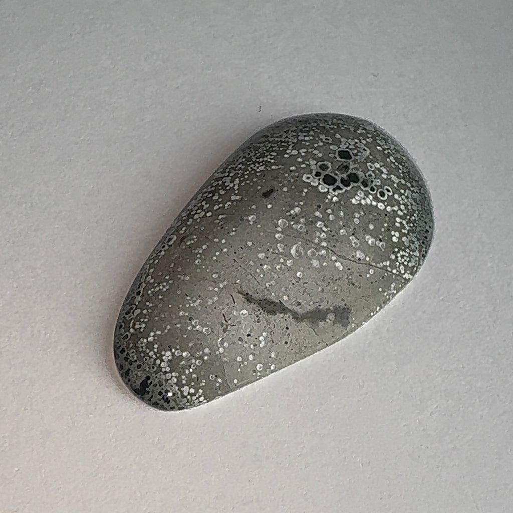 20ct Variscite bi valve pseudomorph