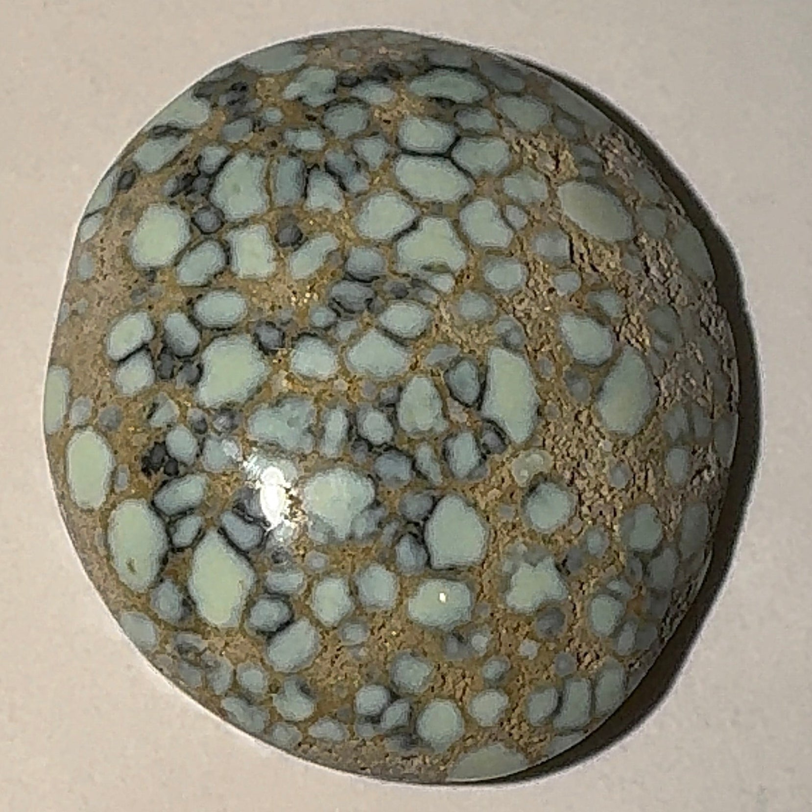 5ct Variscite bi valve pseudomorph