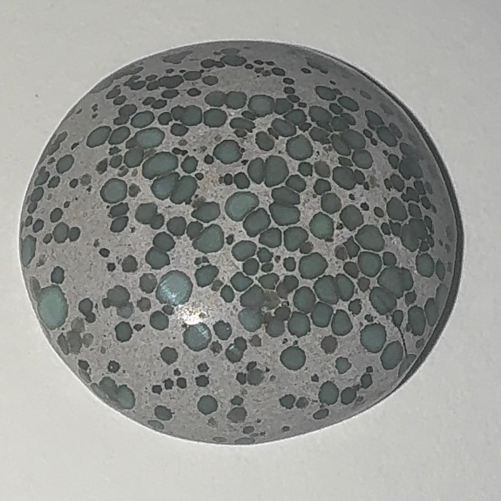 22ct Variscite bi valve pseudomorph