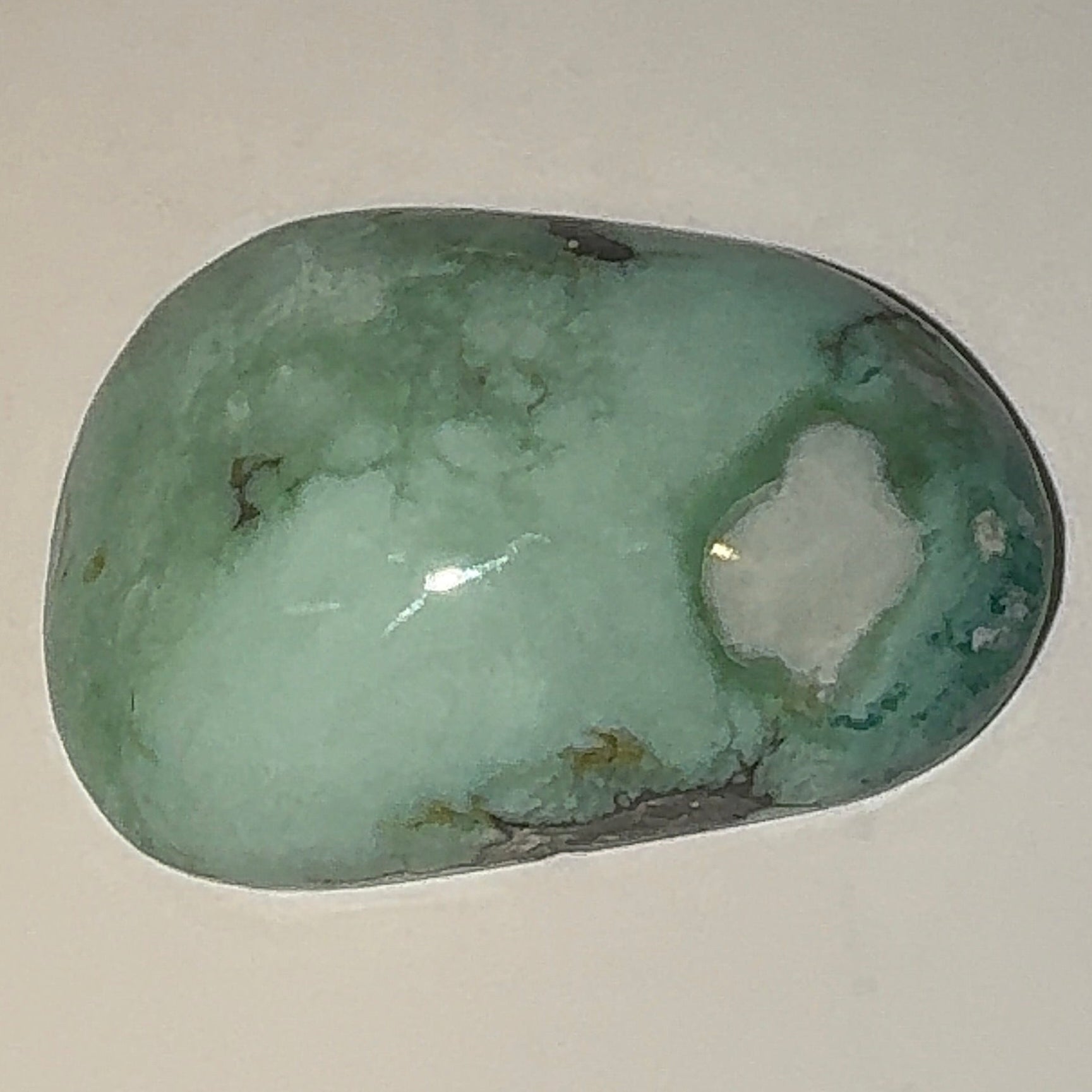 11ct Variscite bi valve pseudomorph