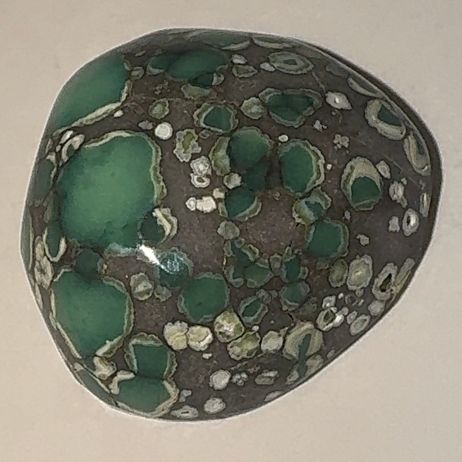 10ct Variscite bi valve pseudomorph