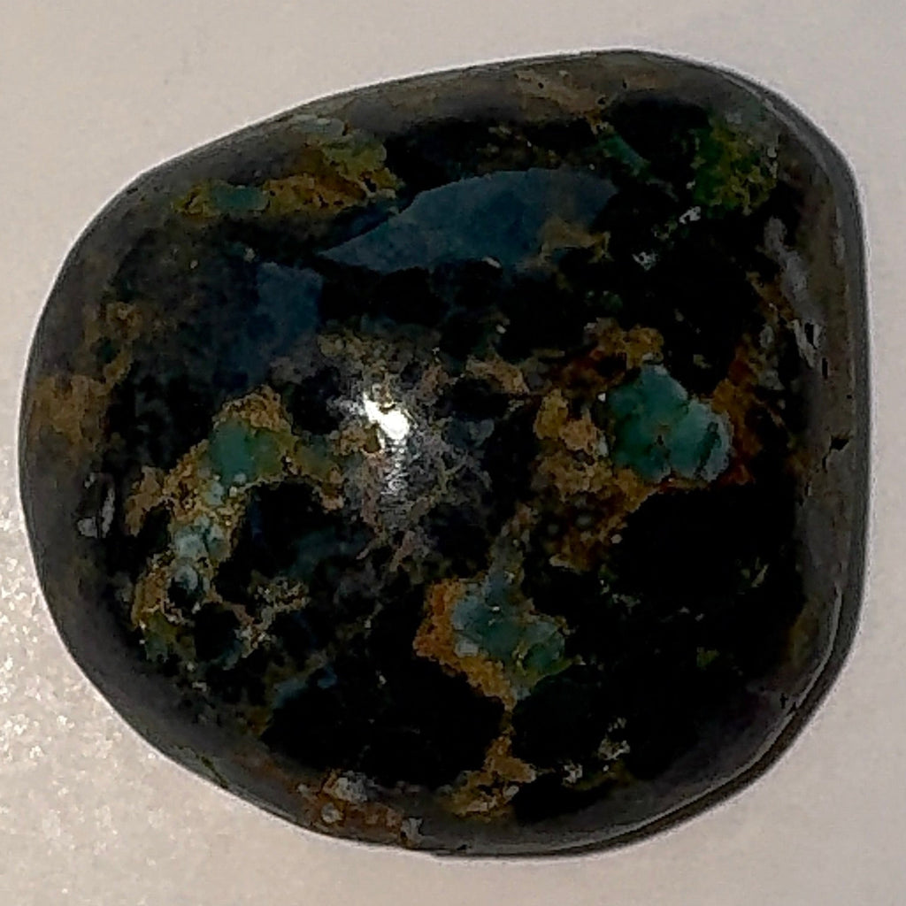 8ct Variscite bi valve pseudomorph