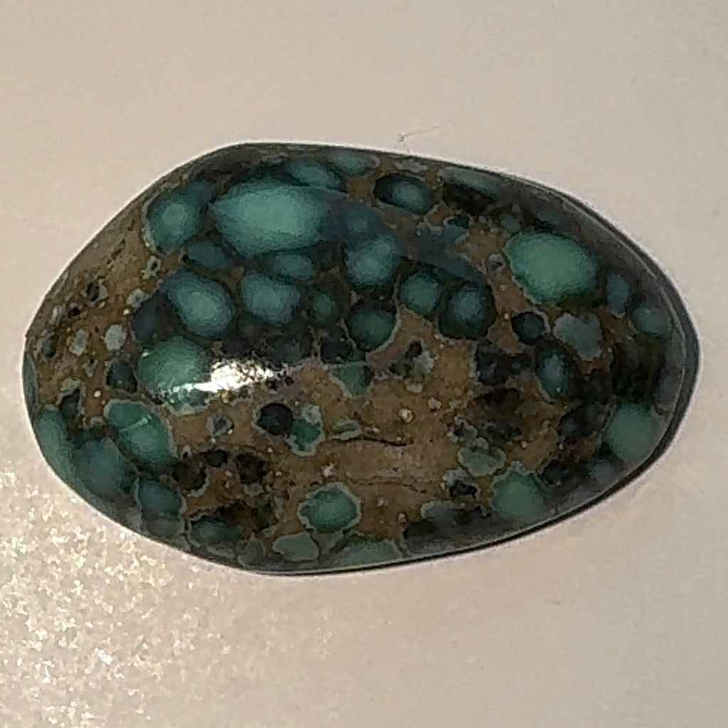 7ct Variscite bi valve pseudomorph