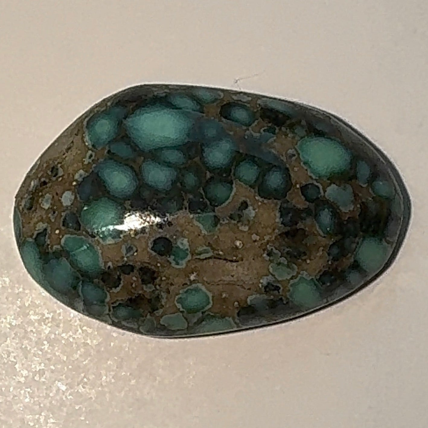 7ct Variscite bi valve pseudomorph