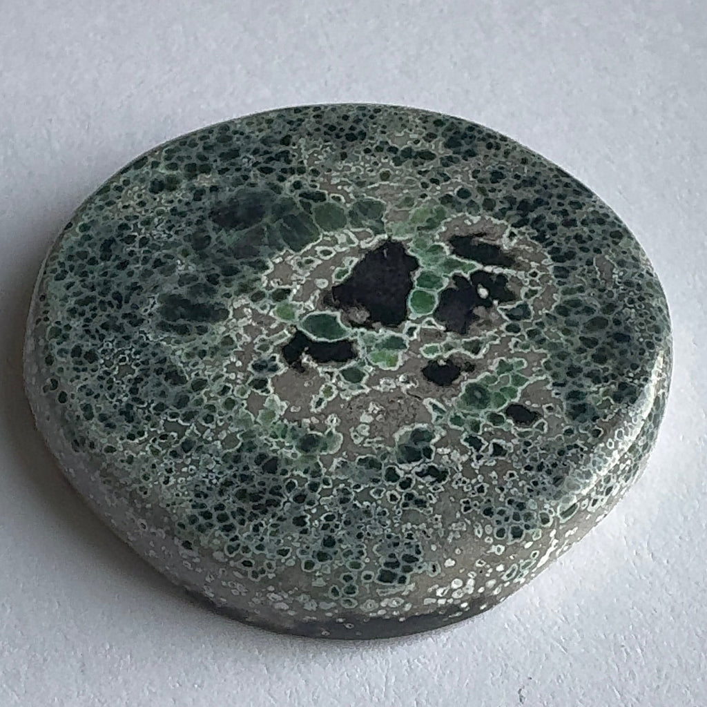 74ct Variscite bi valve pseudomorph