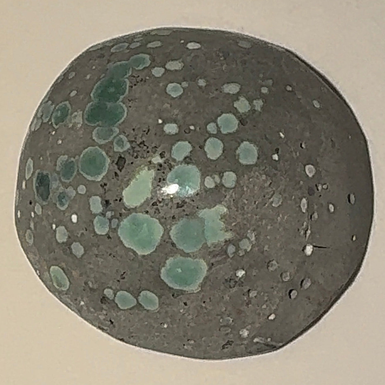 6ct Variscite bi valve pseudomorph