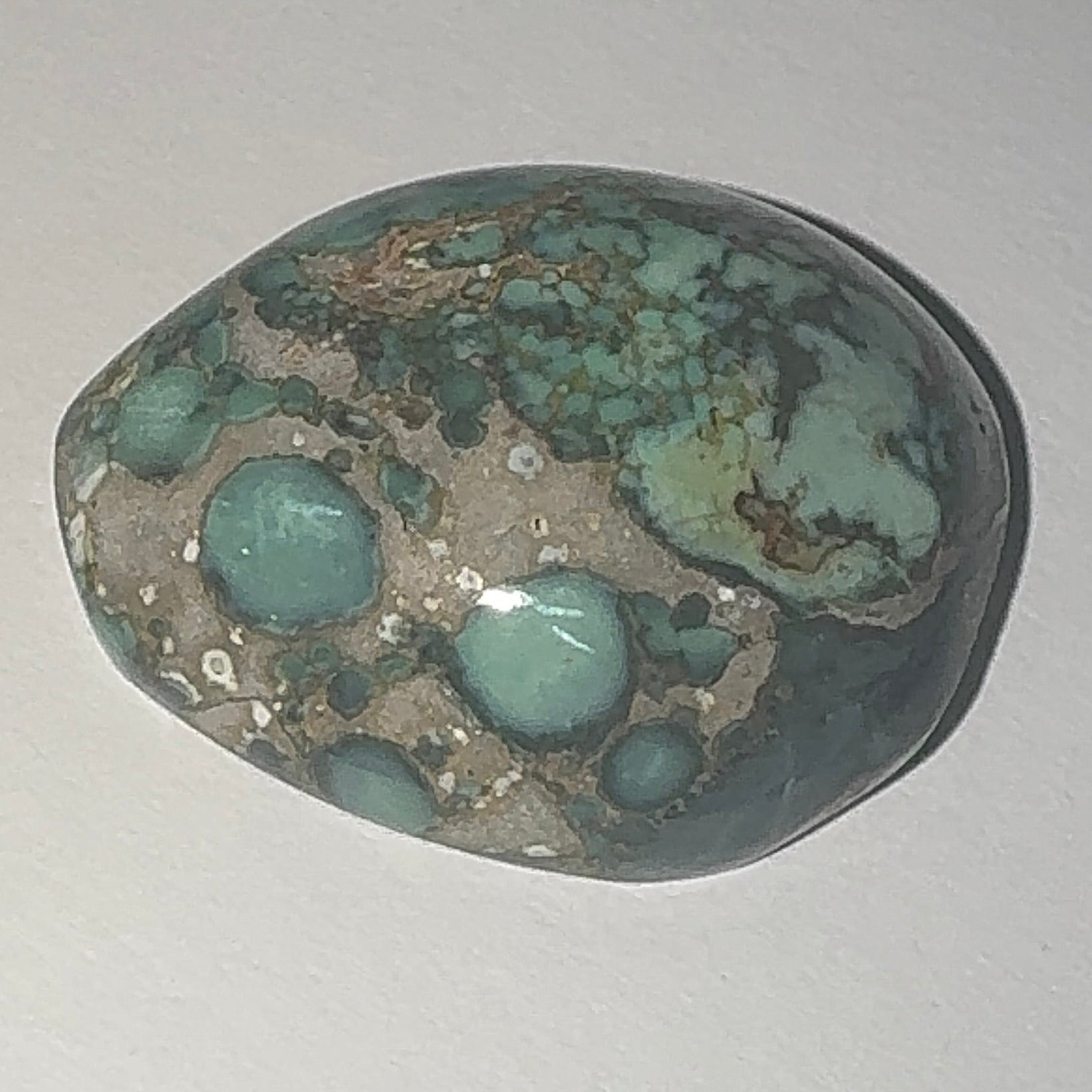 40ct Variscite bi valve pseudomorph