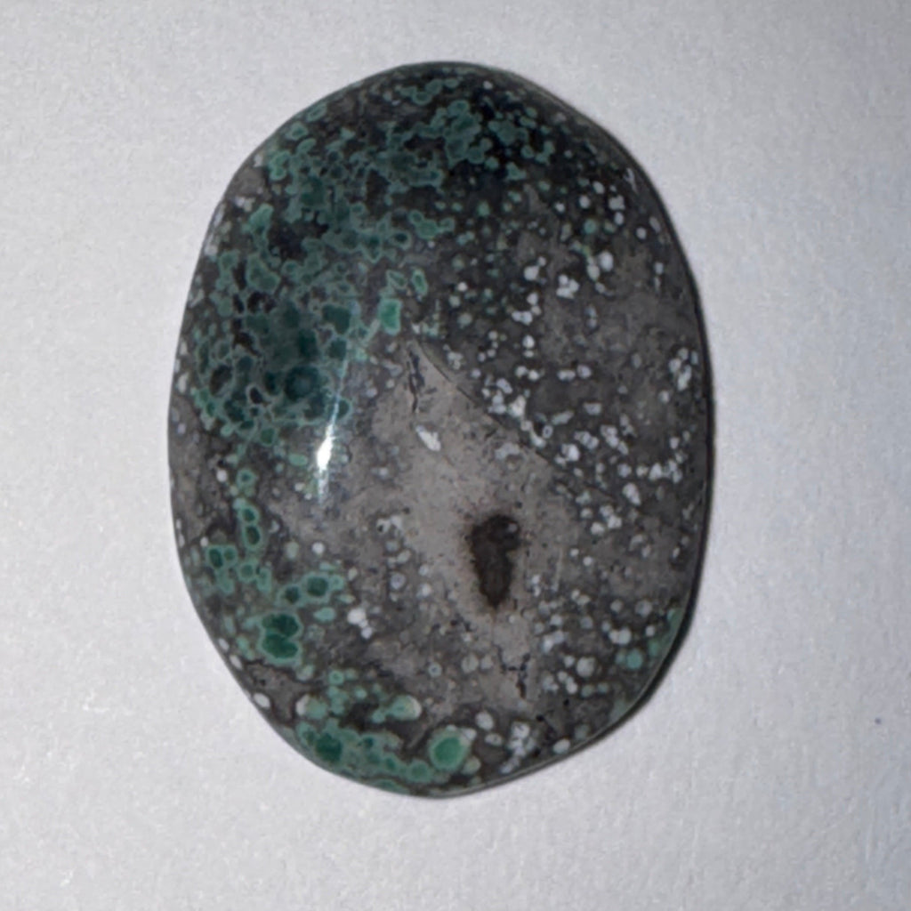 6ct Variscite bi valve pseudomorph