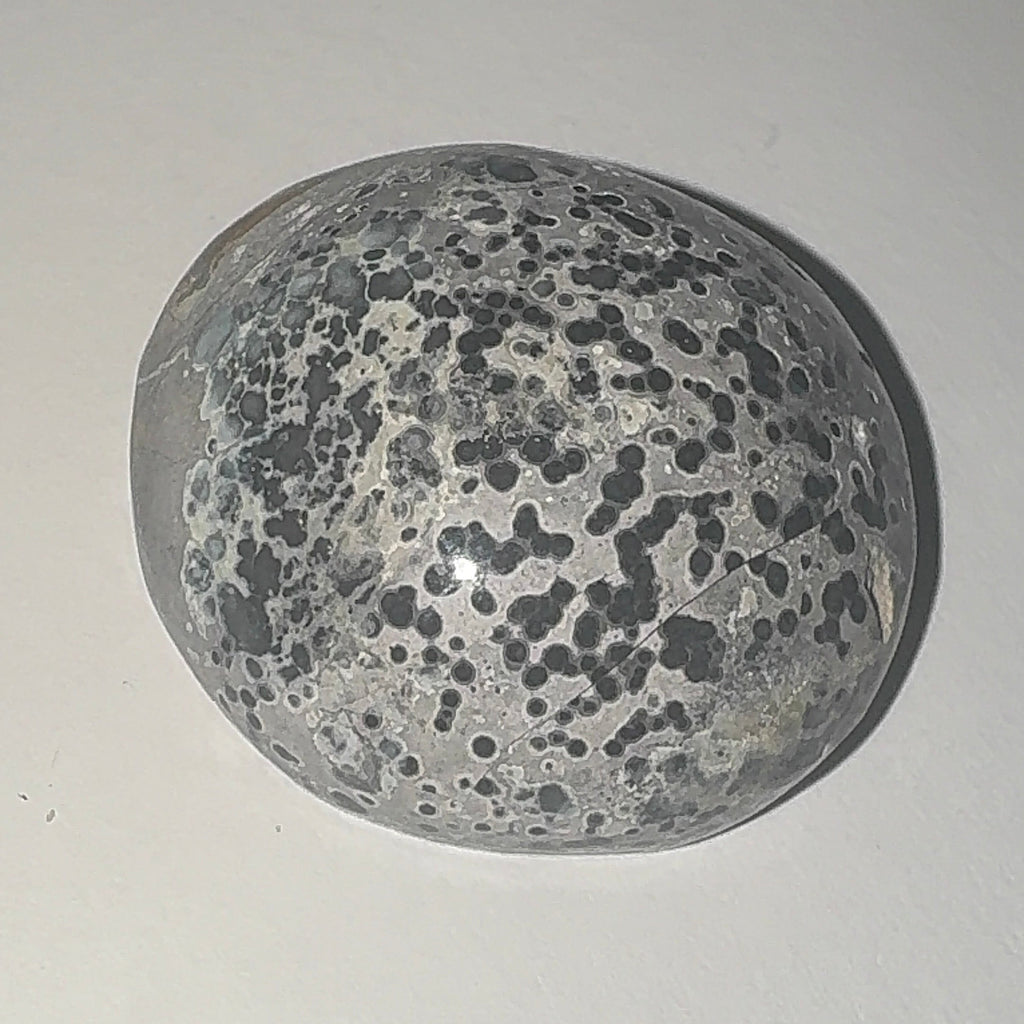 80ct Variscite bi valve pseudomorph