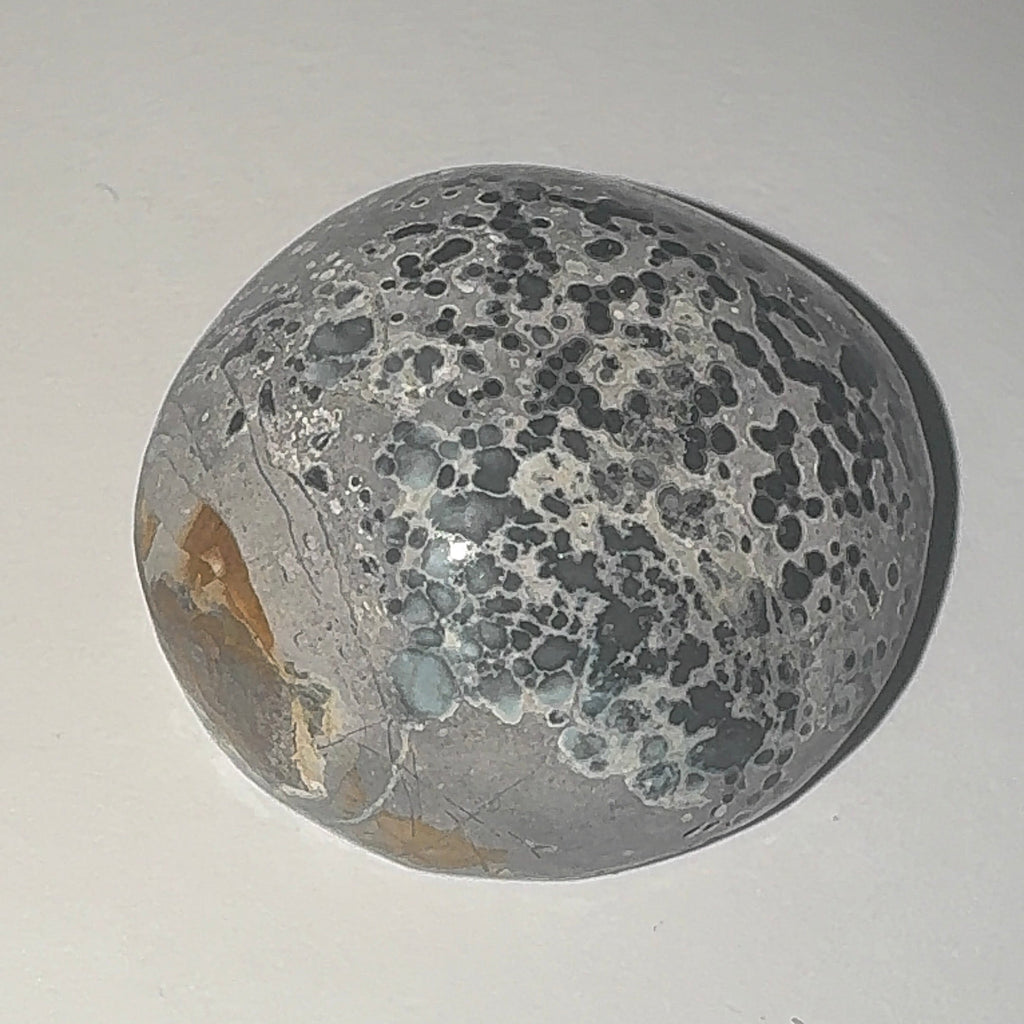 80ct Variscite bi valve pseudomorph