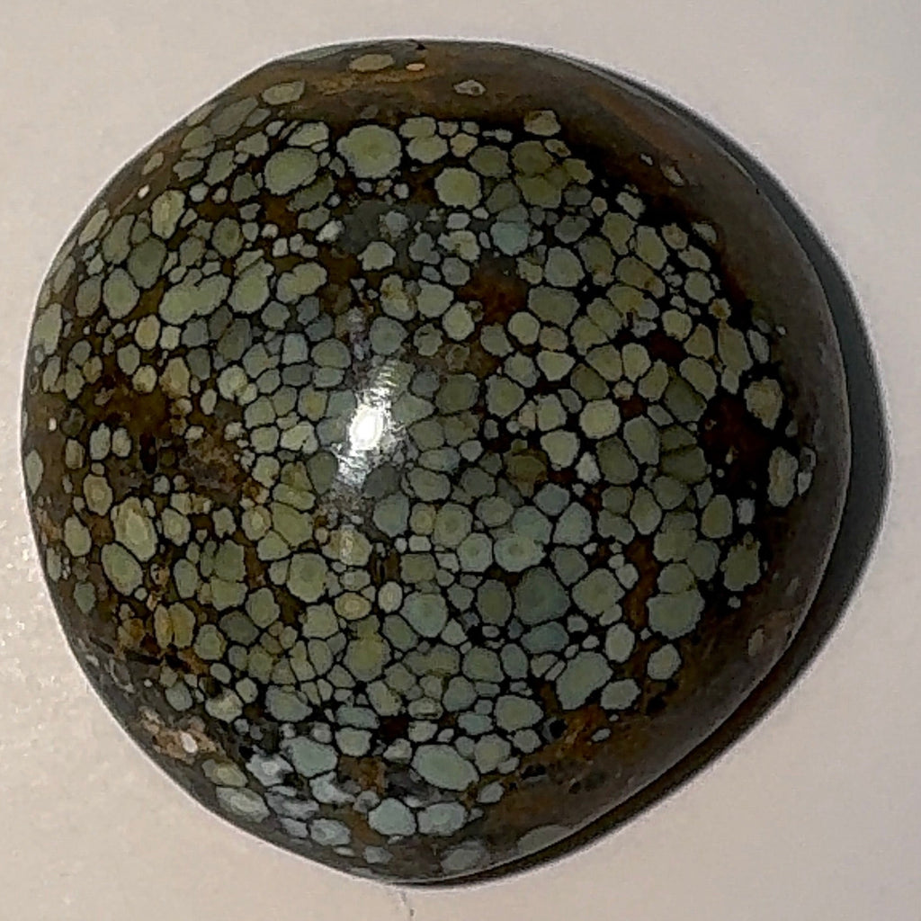 13ct Variscite bi valve pseudomorph