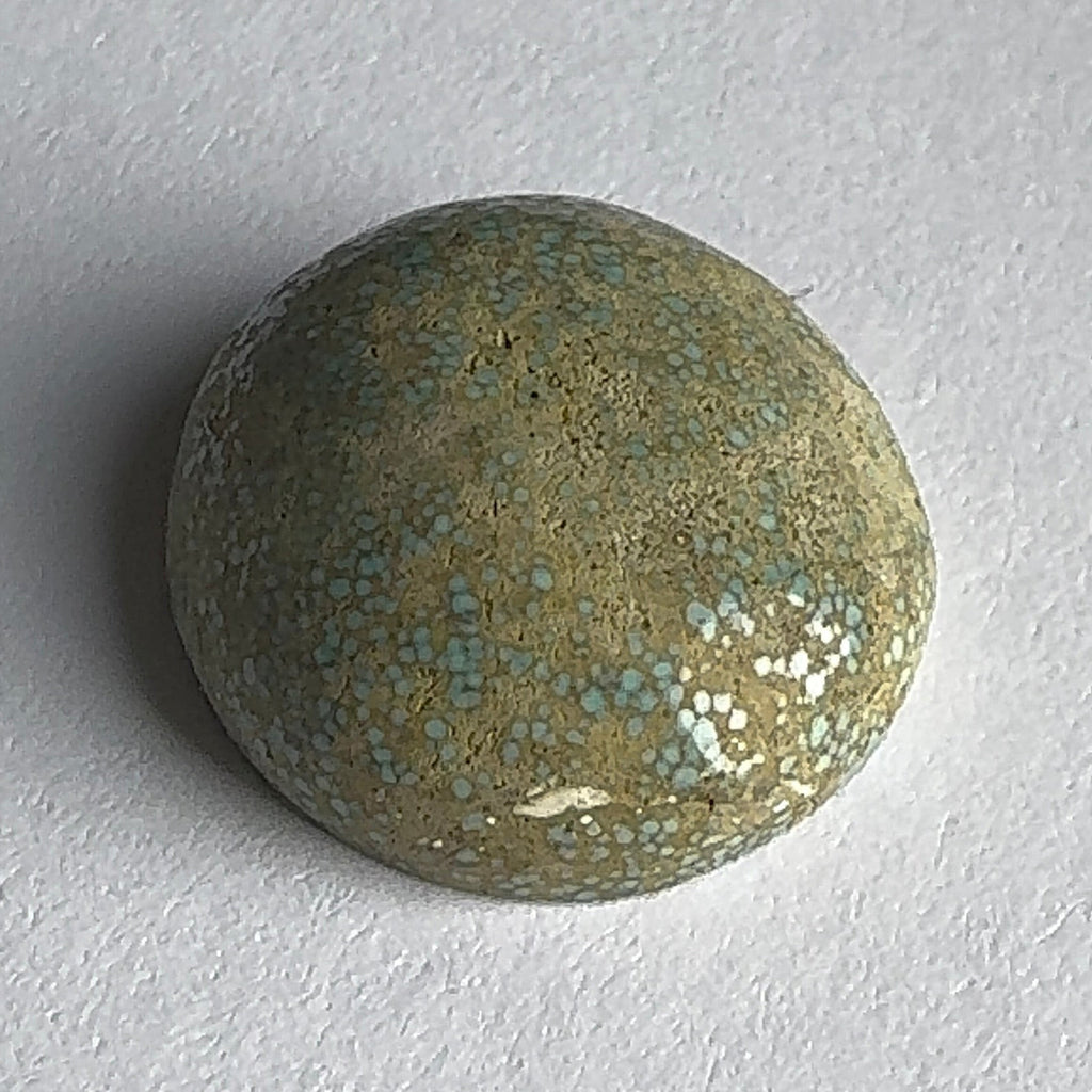 28ct Variscite bi valve pseudomorph