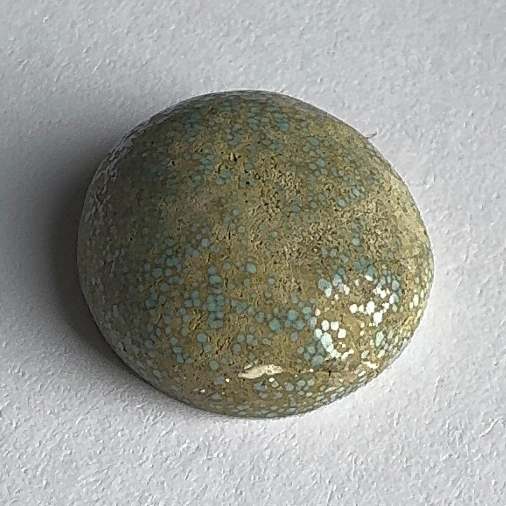 28ct Variscite bi valve pseudomorph