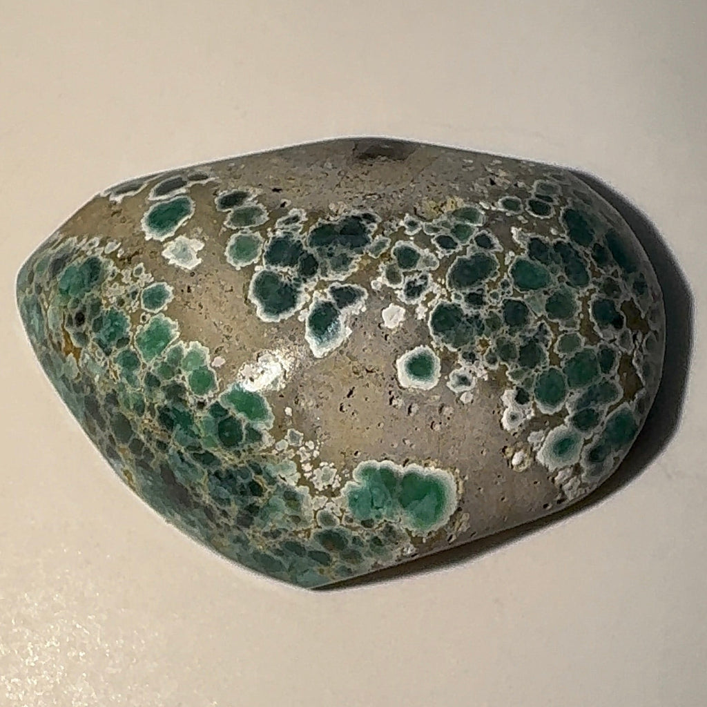 8ct Variscite bi valve pseudomorph