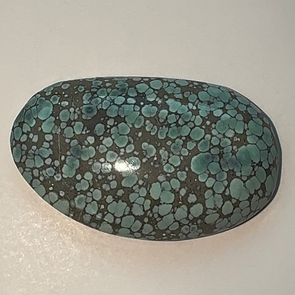 41ct Variscite bi valve pseudomorph