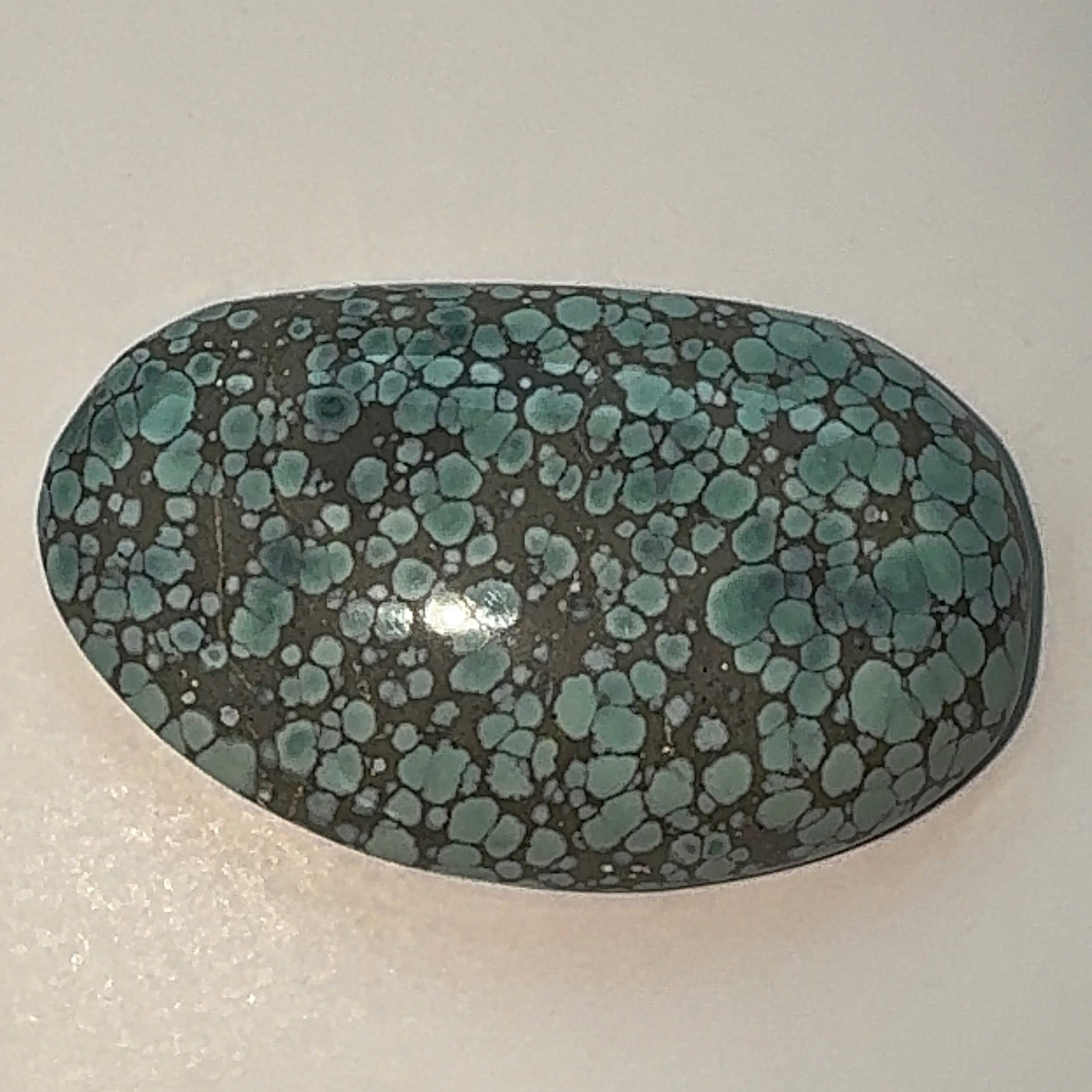 41ct Variscite bi valve pseudomorph