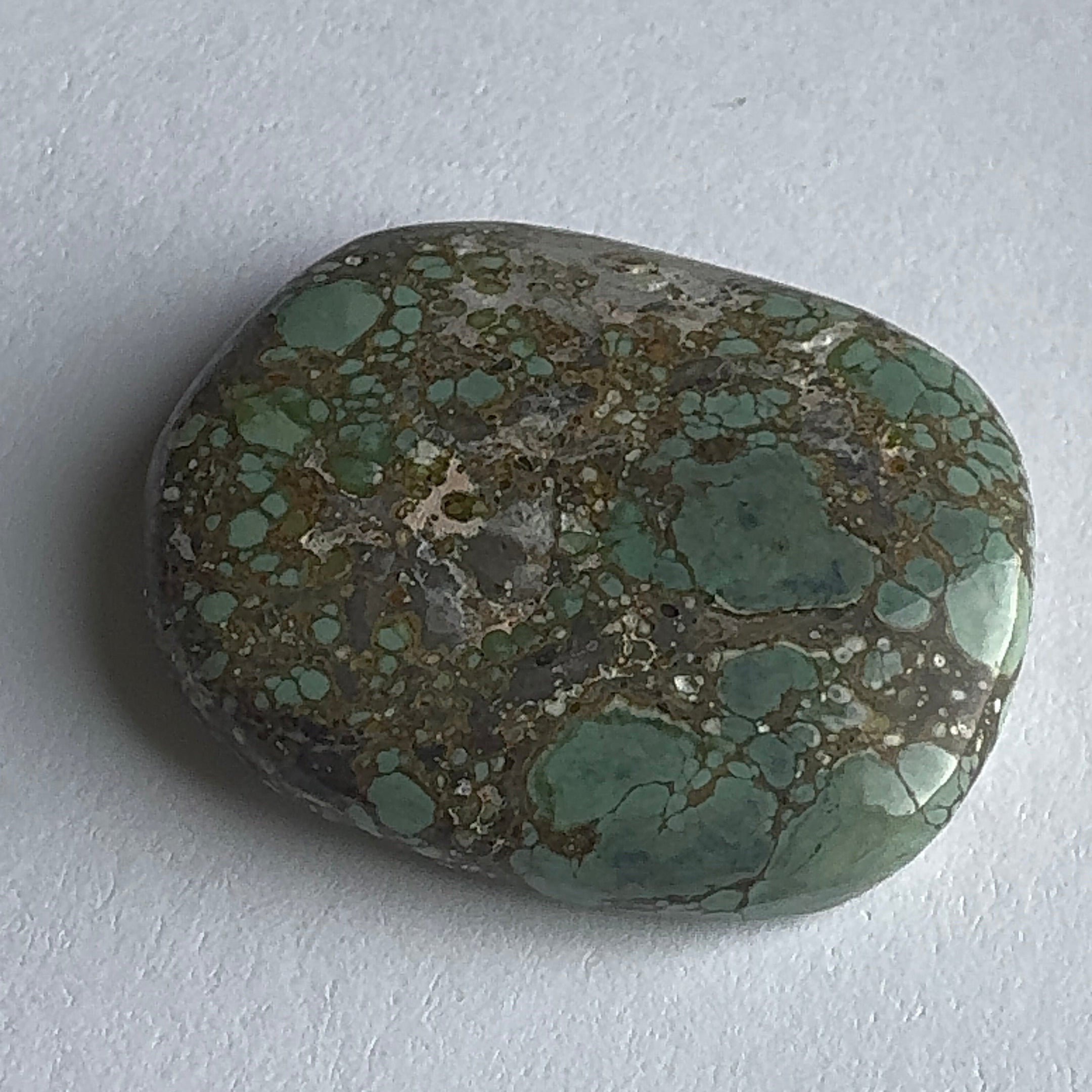 55ct Variscite bi valve pseudomorph