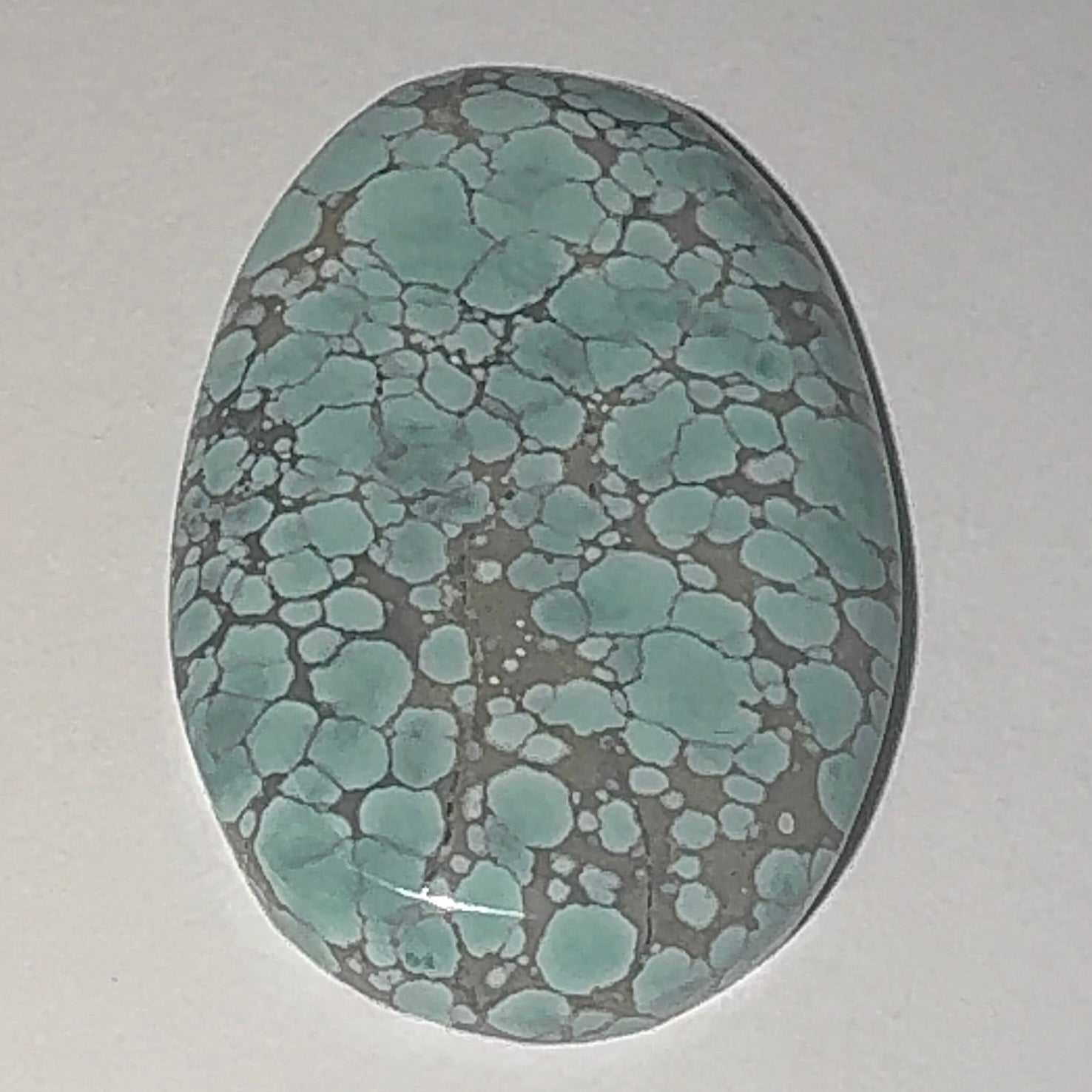 22ct Variscite bi valve pseudomorph