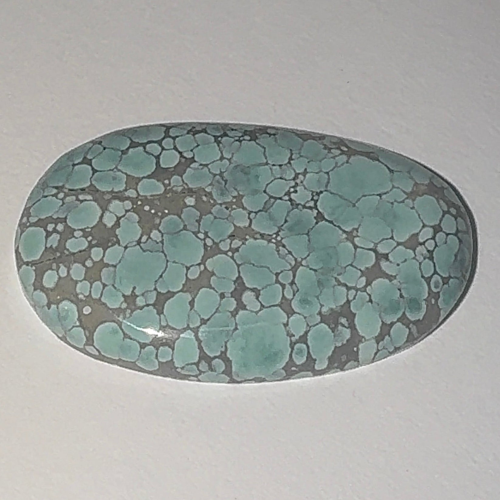 22ct Variscite bi valve pseudomorph