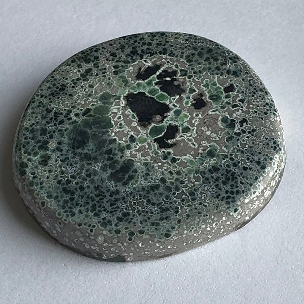 74ct Variscite bi valve pseudomorph