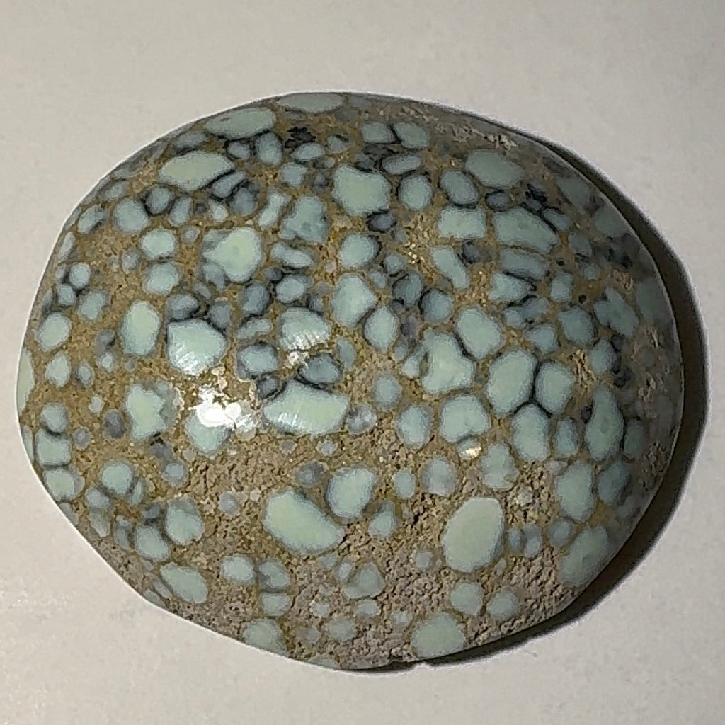 5ct Variscite bi valve pseudomorph