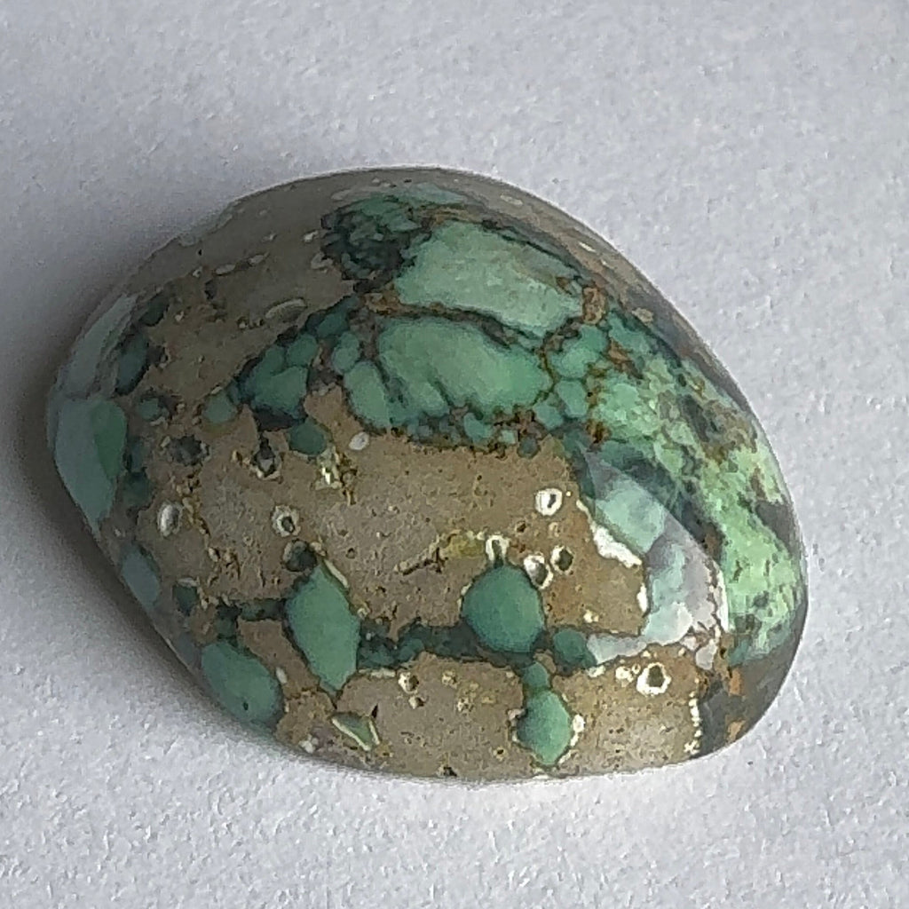52ct Variscite bi valve pseudomorph