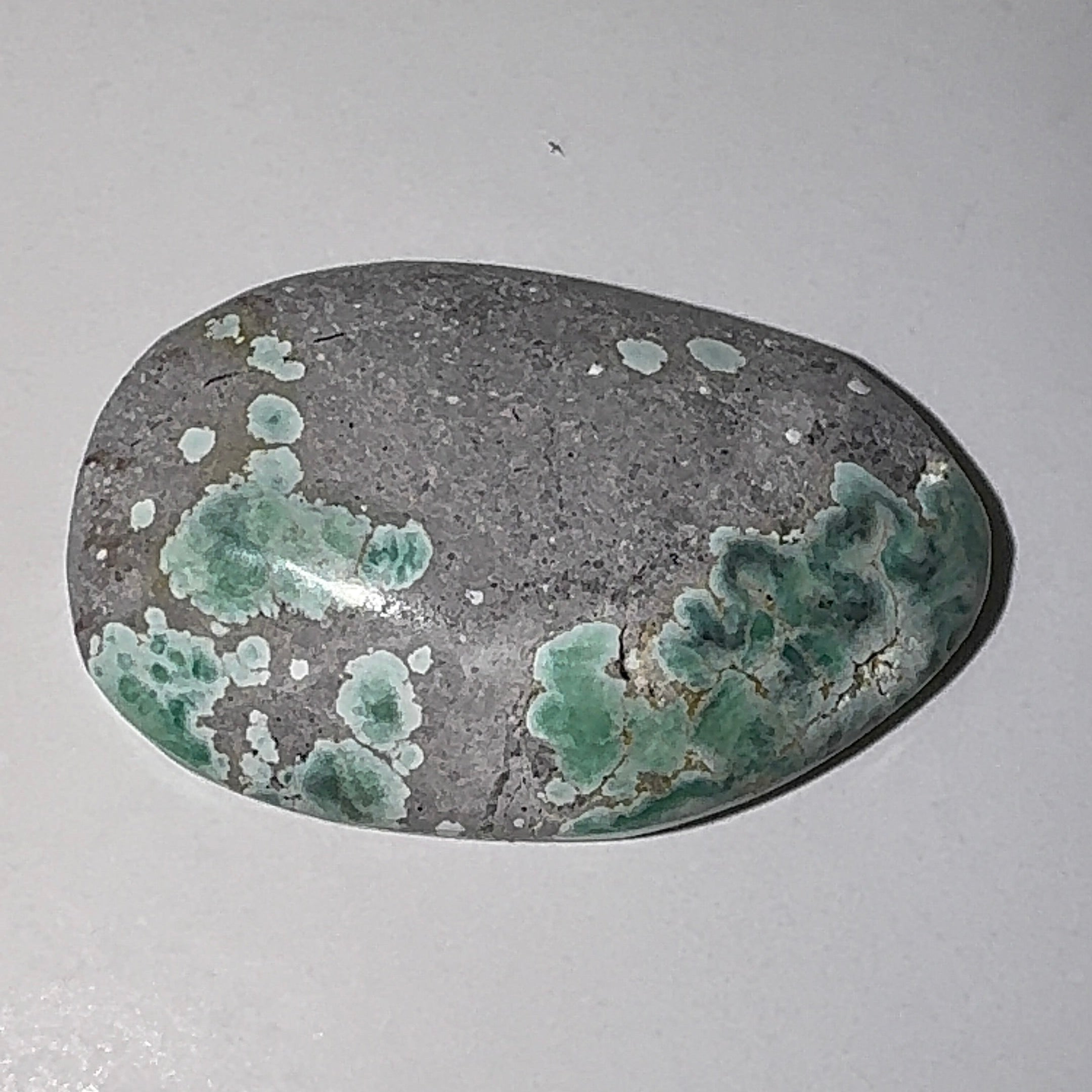 7ct Variscite bi valve pseudomorph