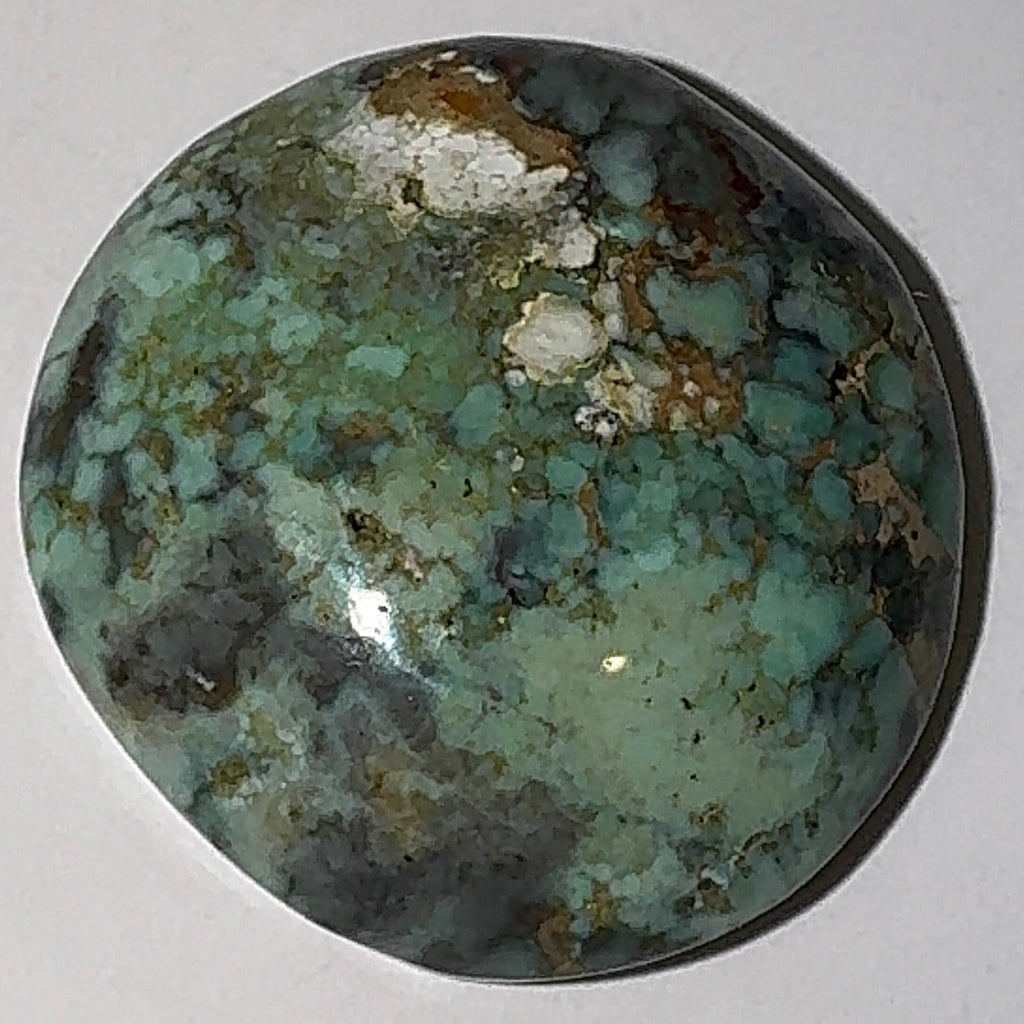 8ct Variscite bi valve pseudomorph