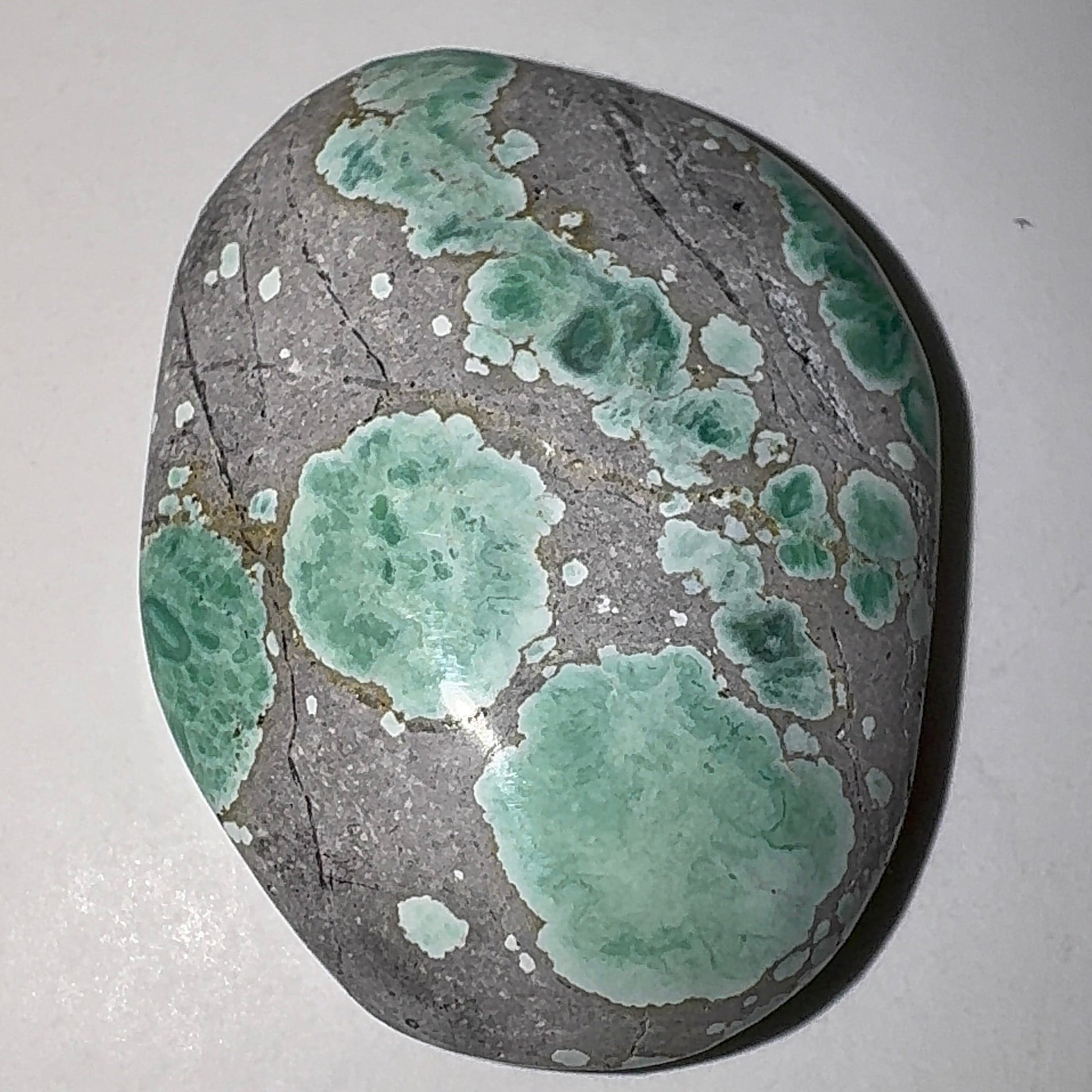 14ct Variscite bi valve pseudomorph