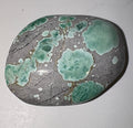14ct Variscite bi valve pseudomorph