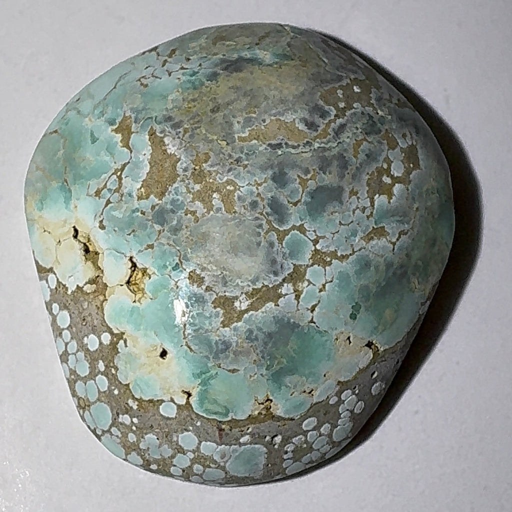 5ct Variscite bi valve pseudomorph