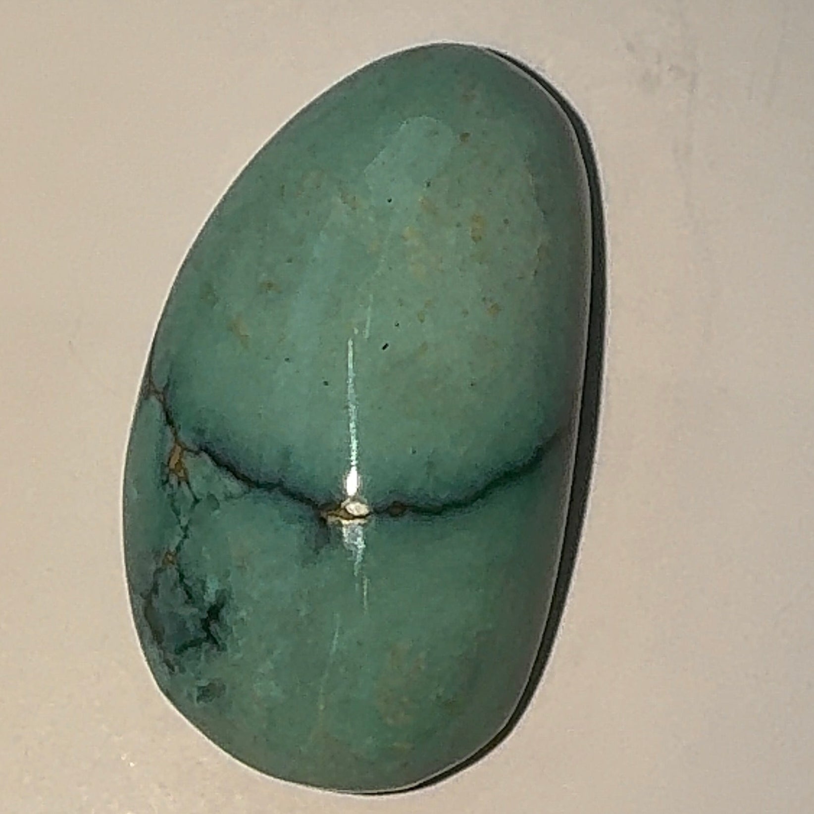 16ct Variscite bi valve pseudomorph