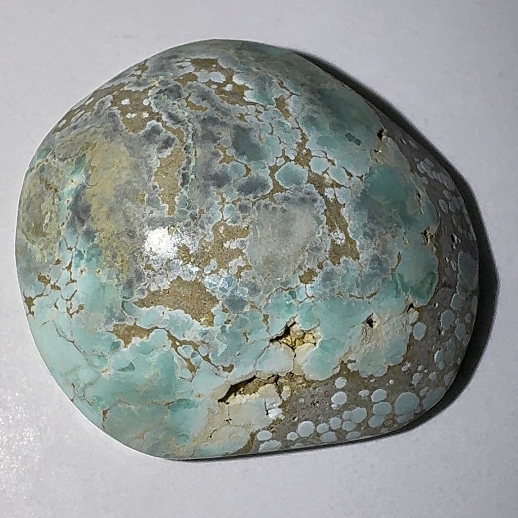 5ct Variscite bi valve pseudomorph