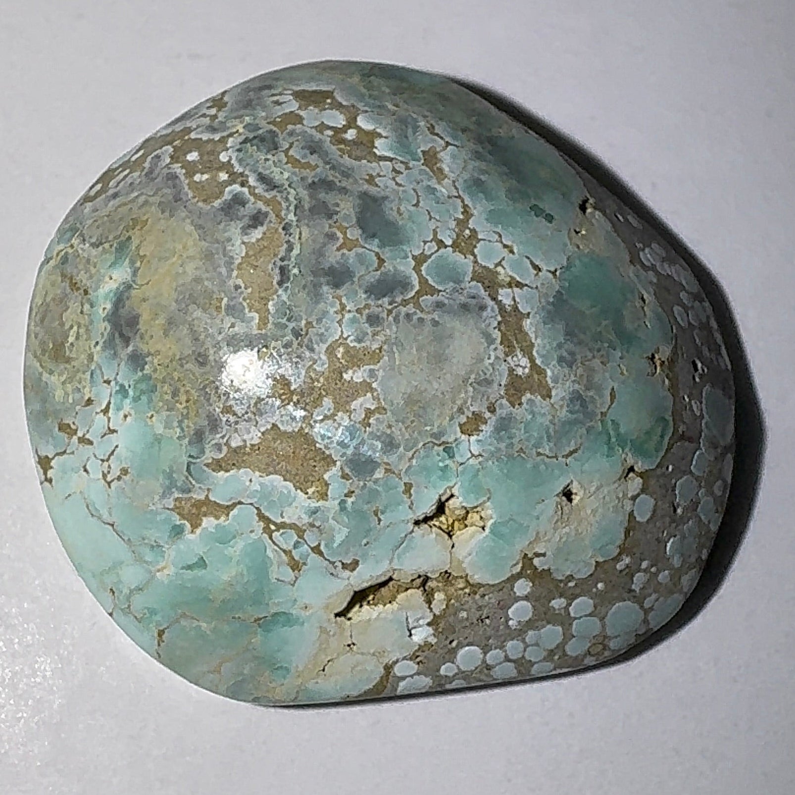 5ct Variscite bi valve pseudomorph