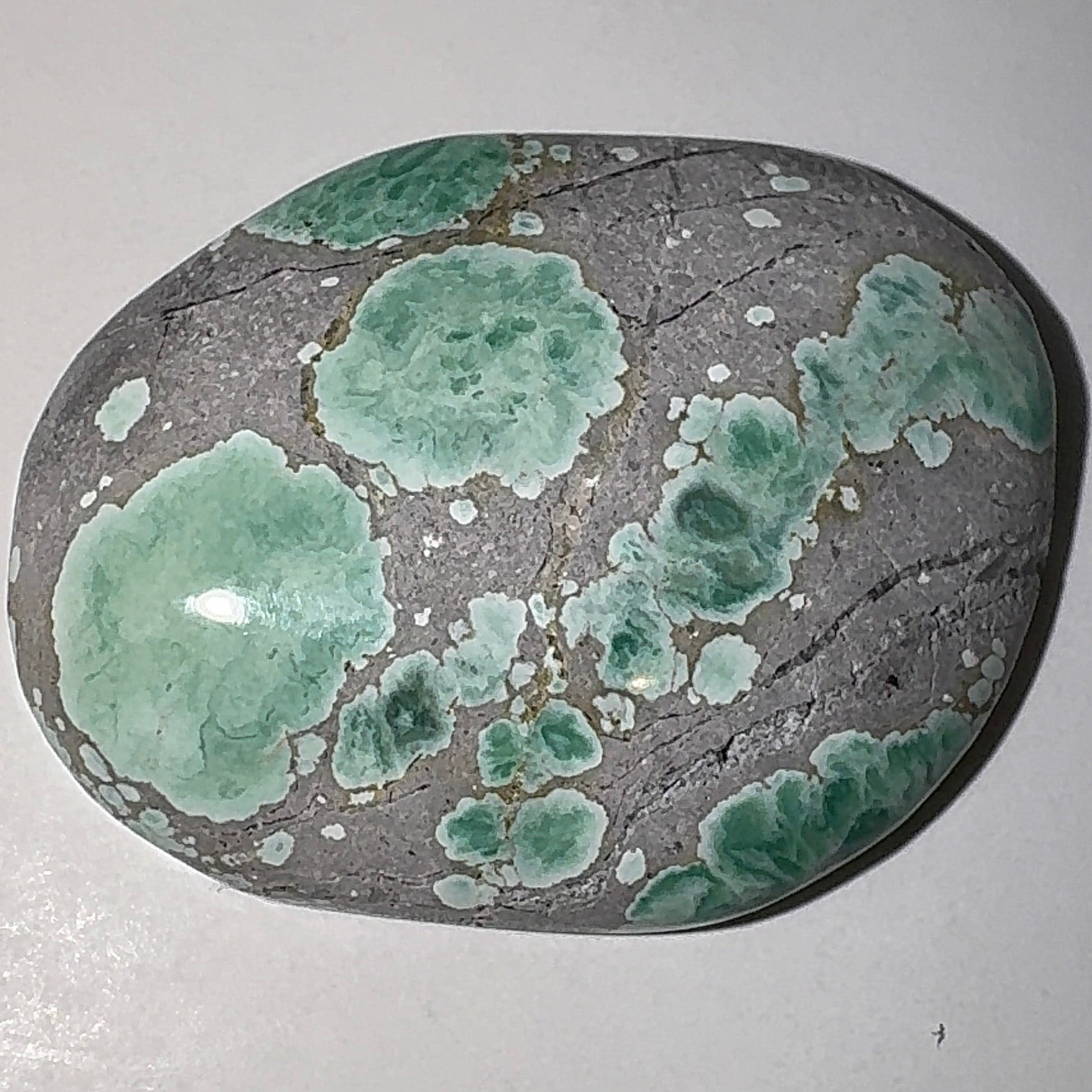 14ct Variscite bi valve pseudomorph