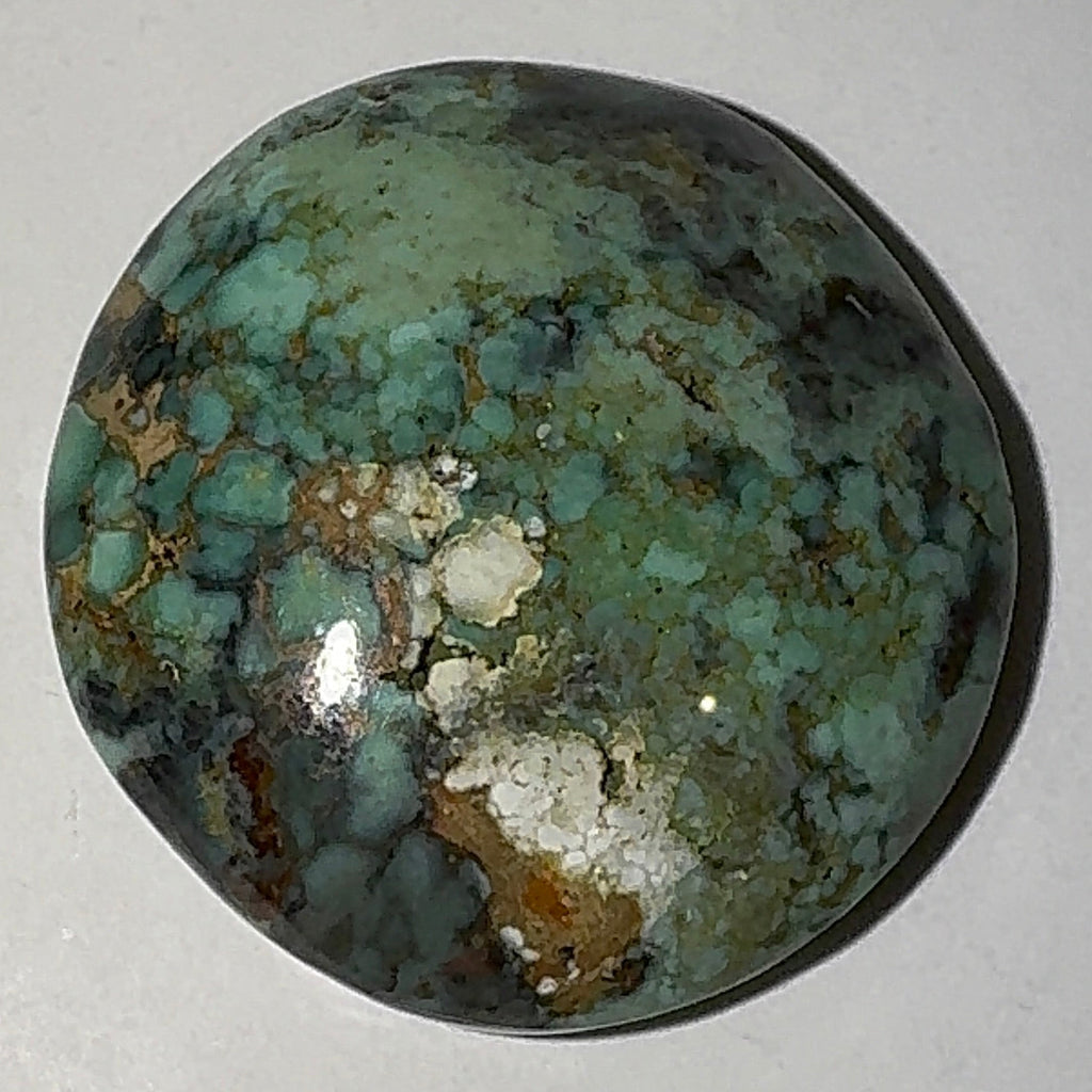 8ct Variscite bi valve pseudomorph